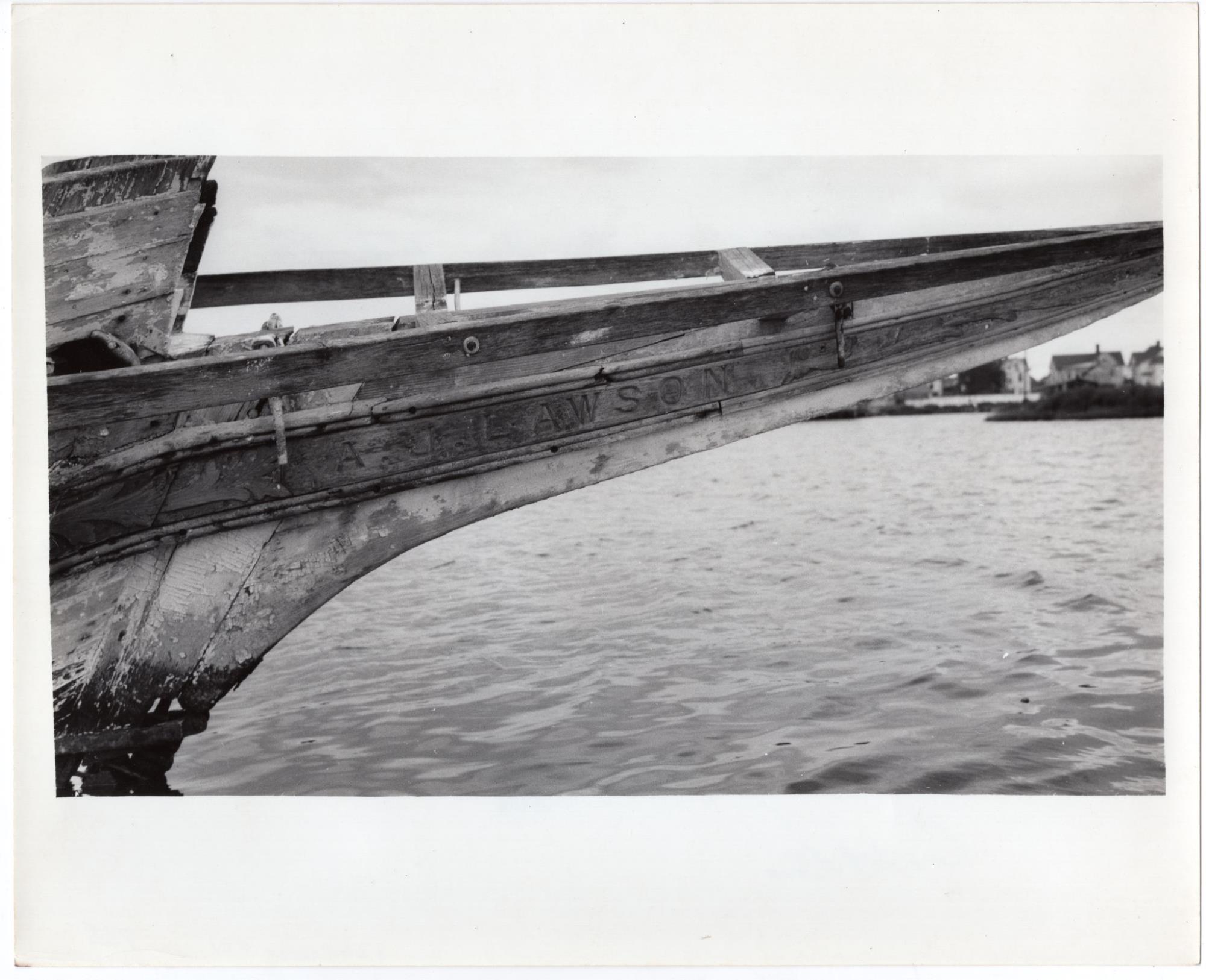 CBMM catalog image