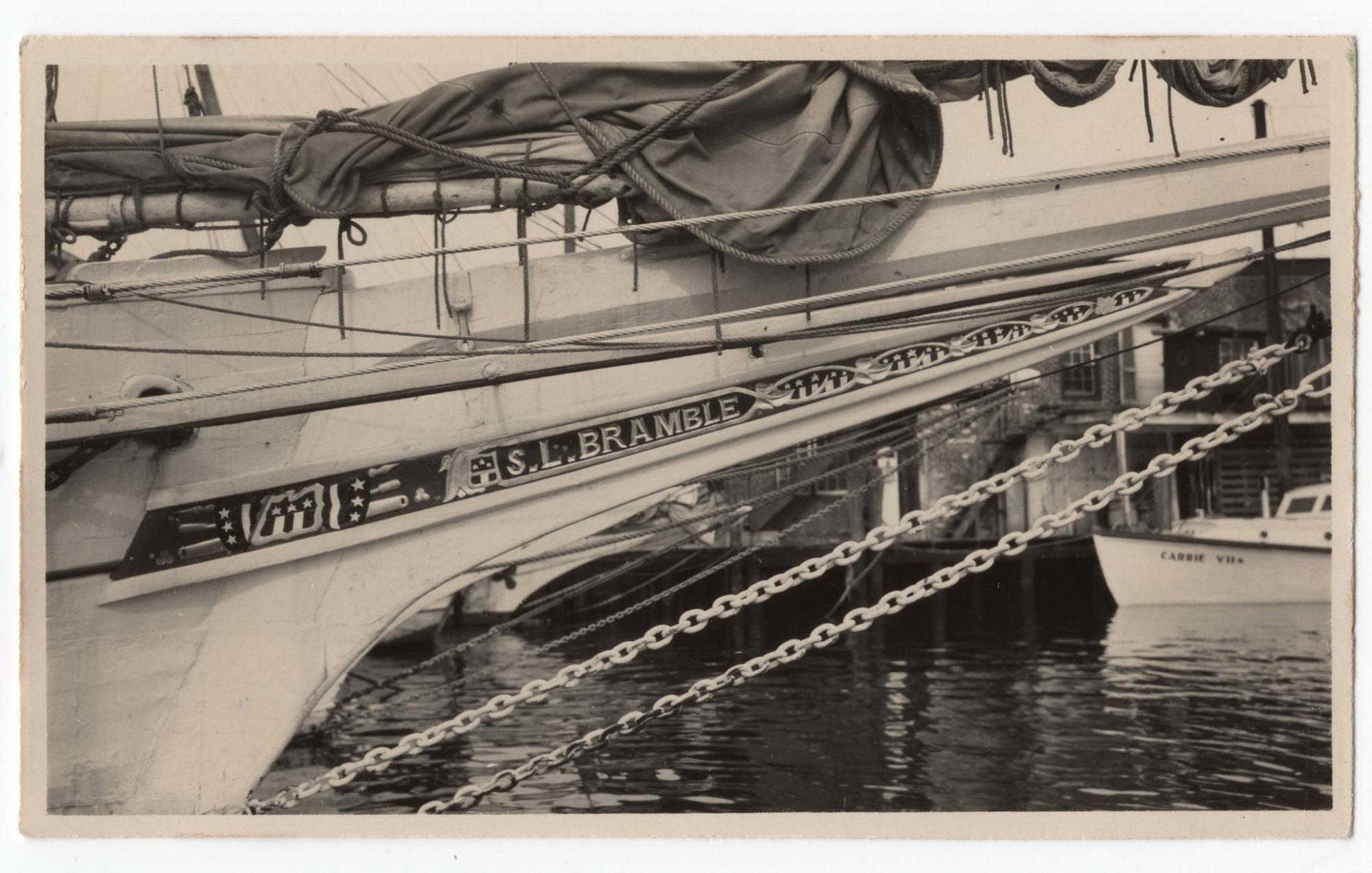 CBMM catalog image