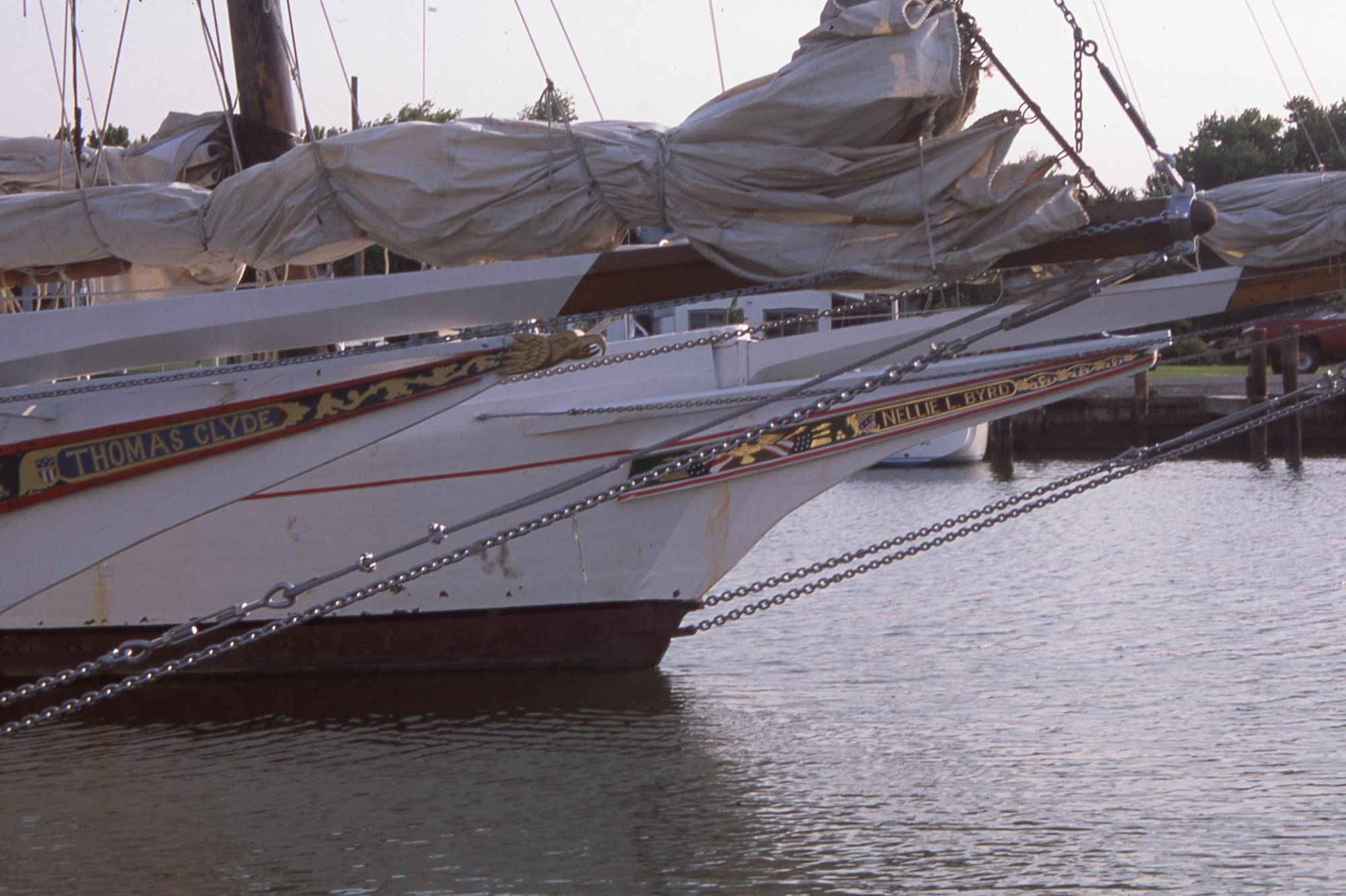 CBMM catalog image