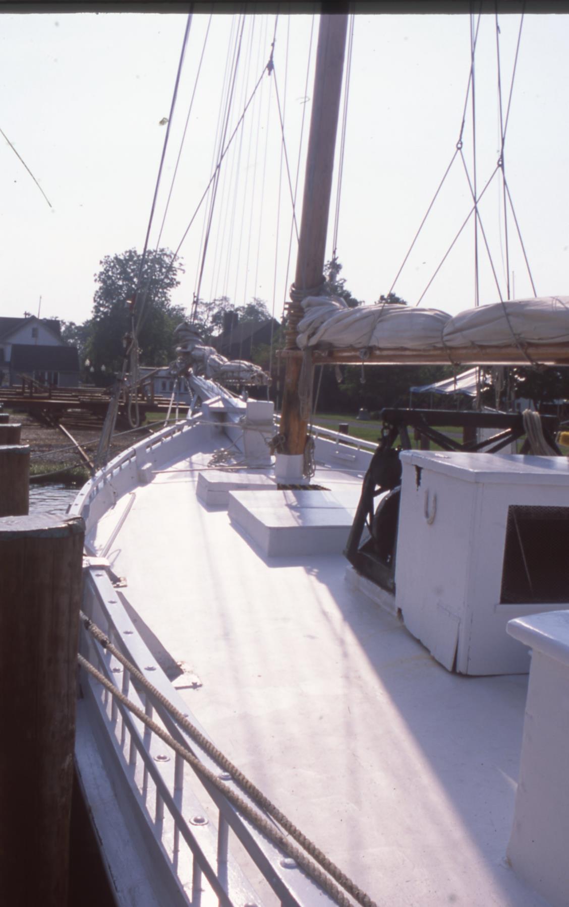 CBMM catalog image