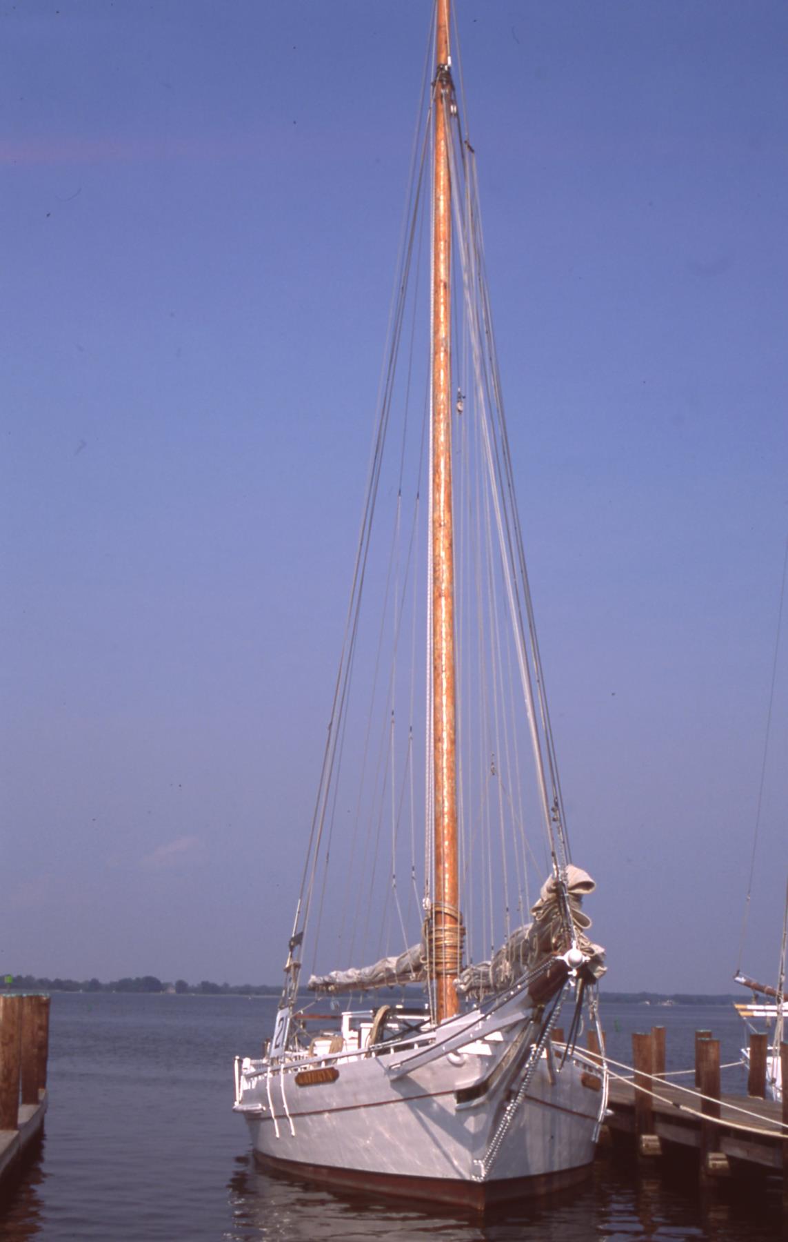 CBMM catalog image