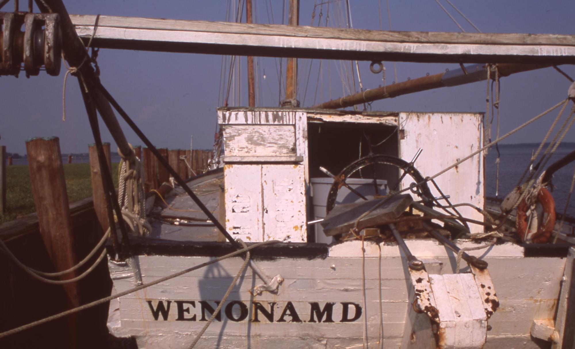 CBMM catalog image