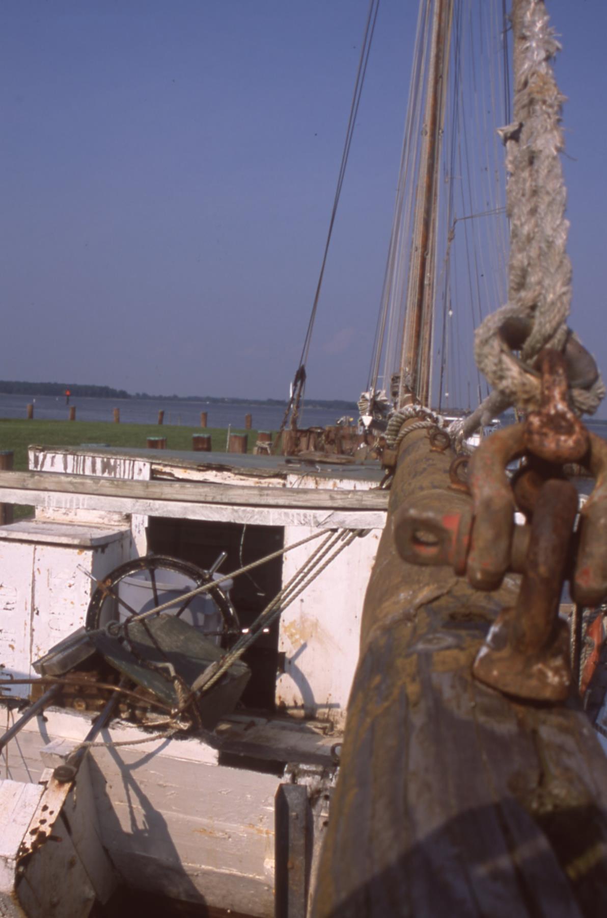 CBMM catalog image