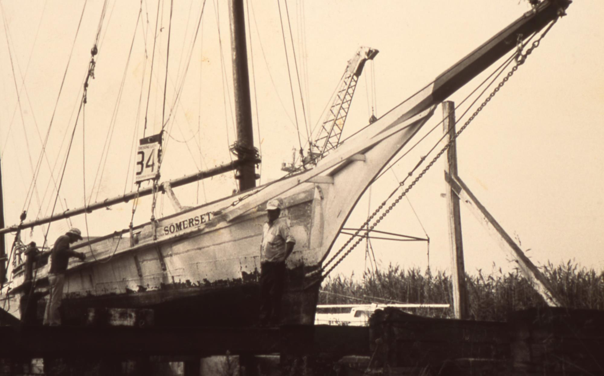 CBMM catalog image