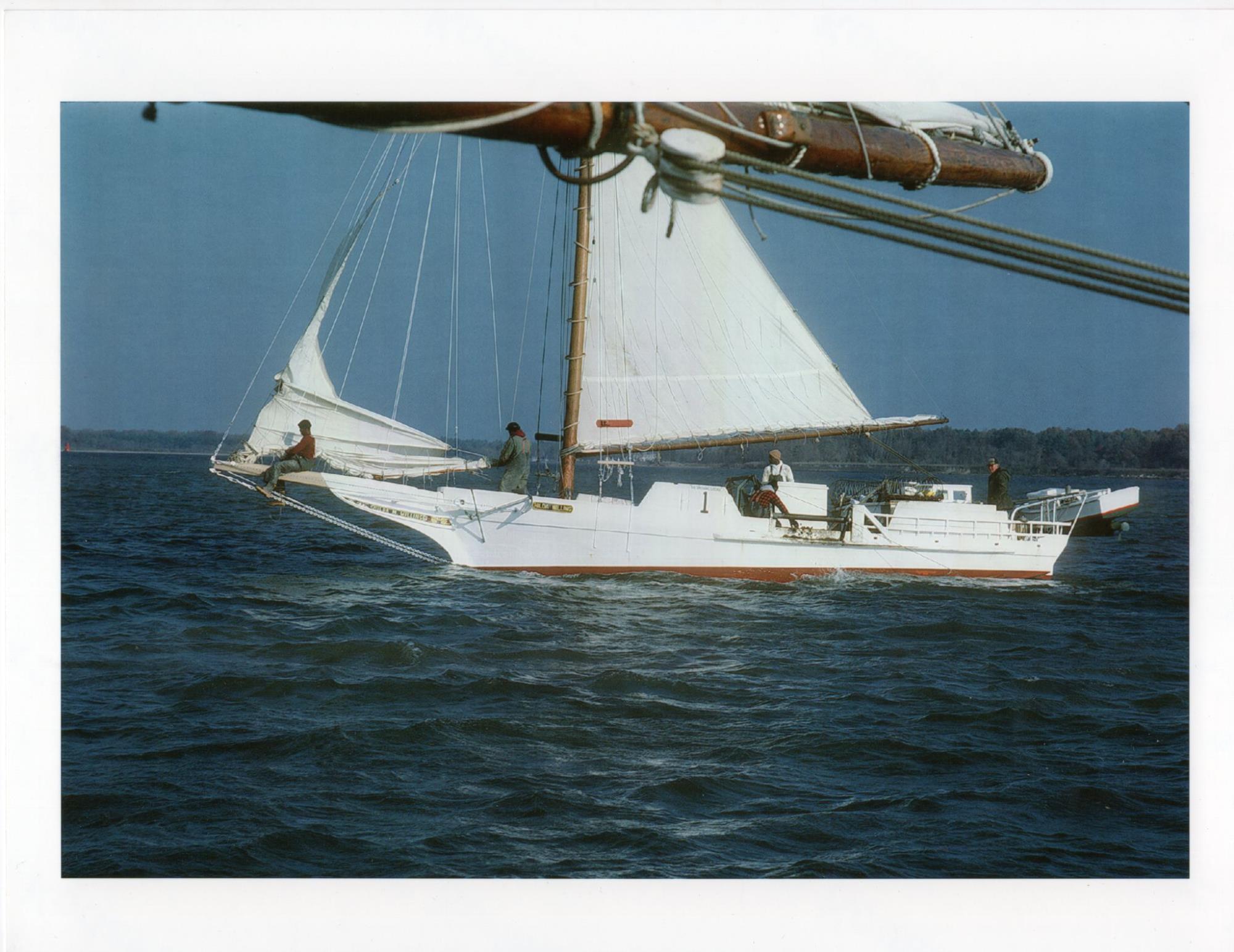 CBMM catalog image
