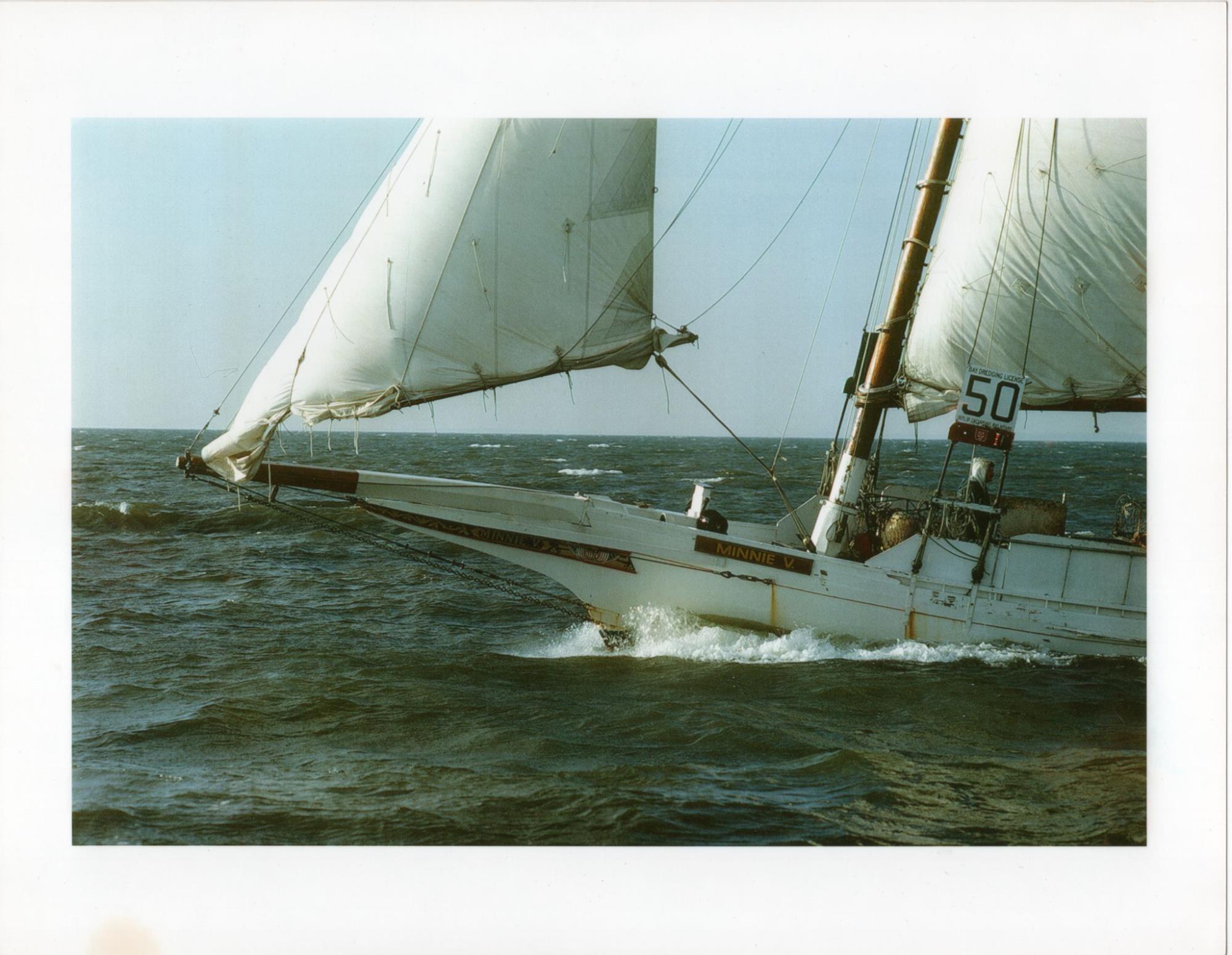 CBMM catalog image