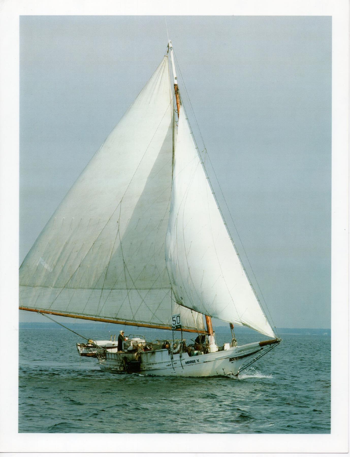 CBMM catalog image