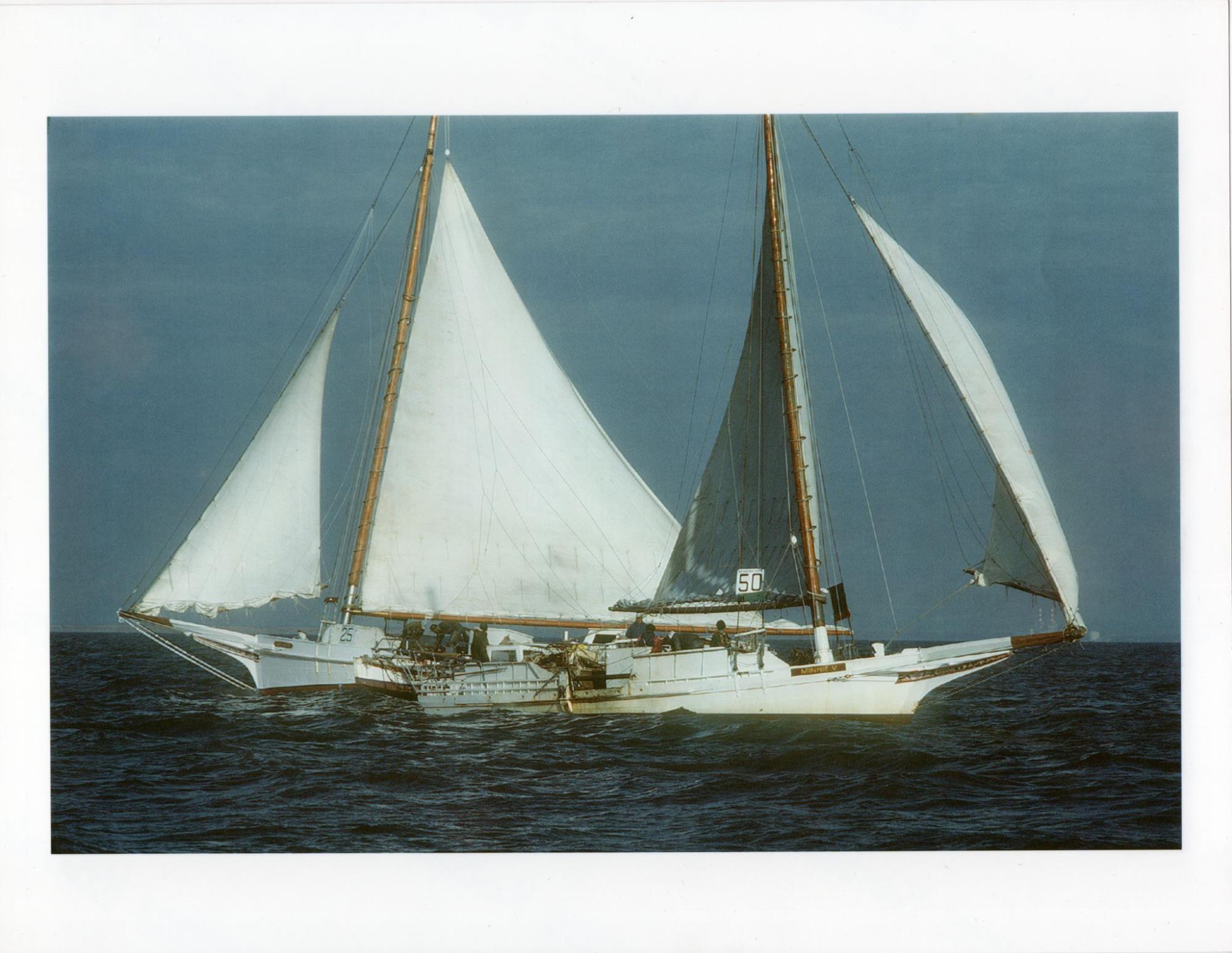 CBMM catalog image