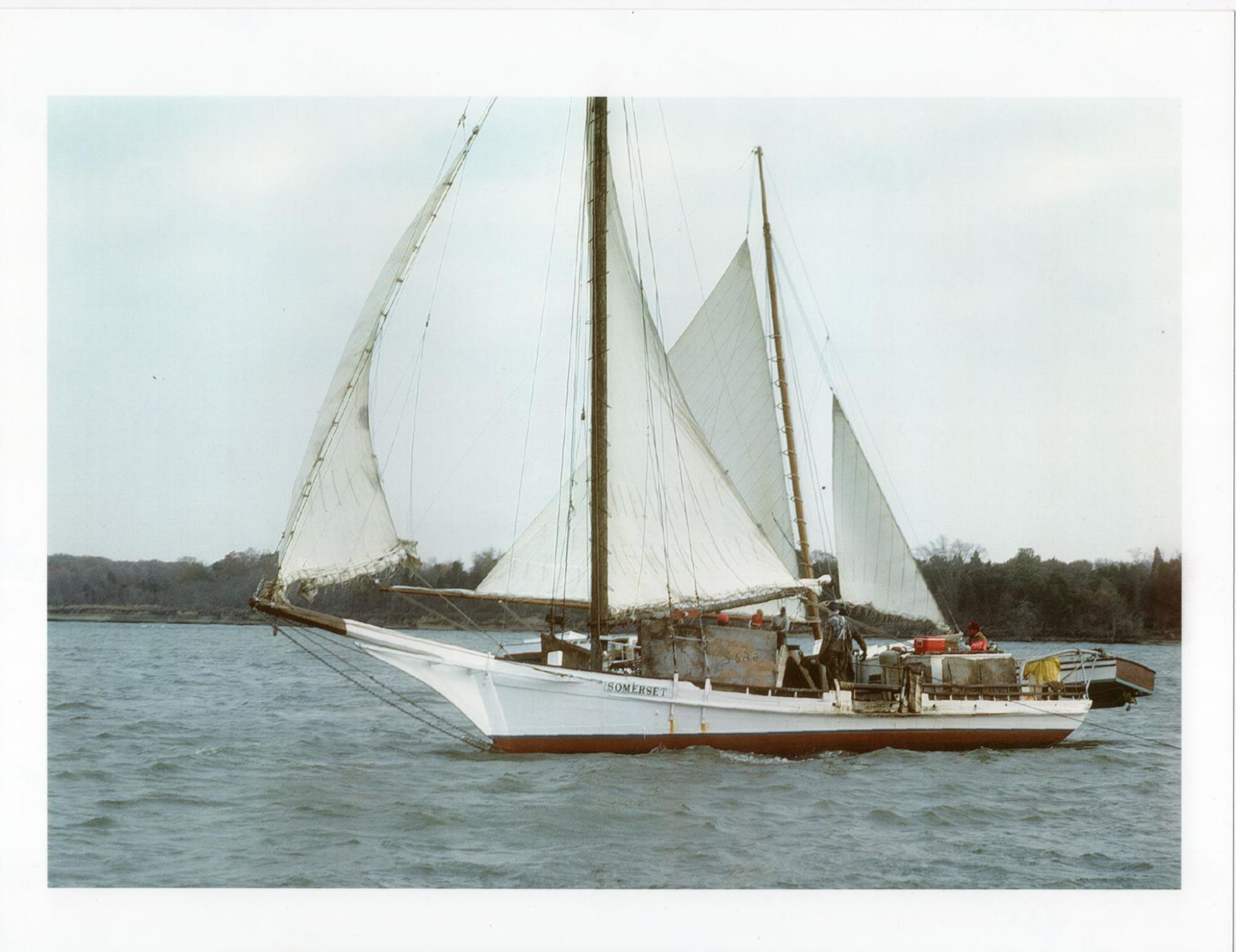 CBMM catalog image