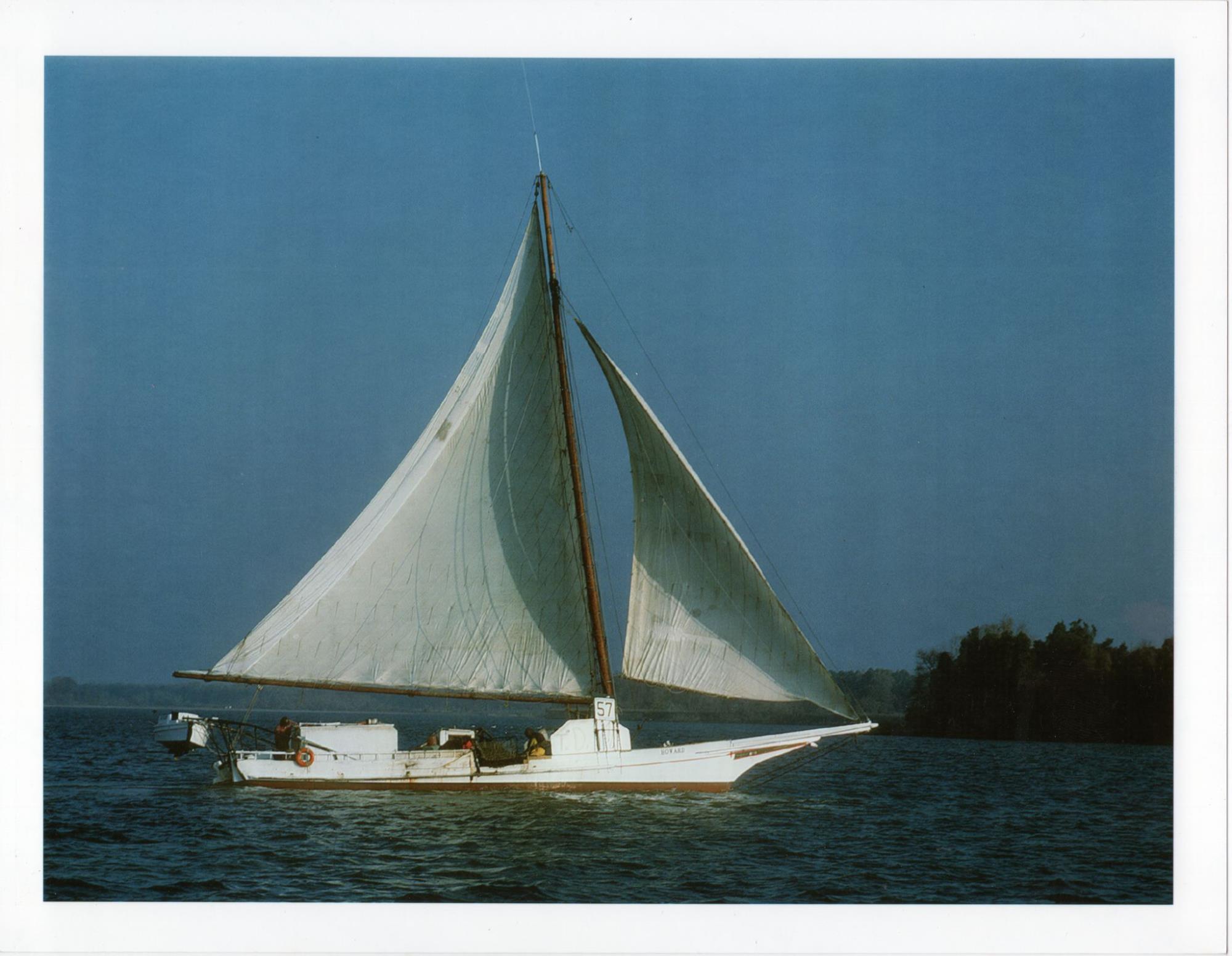 CBMM catalog image