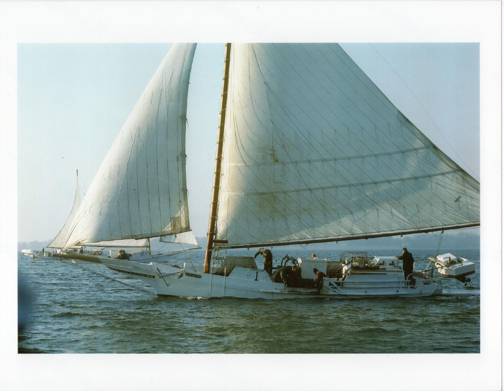 CBMM catalog image