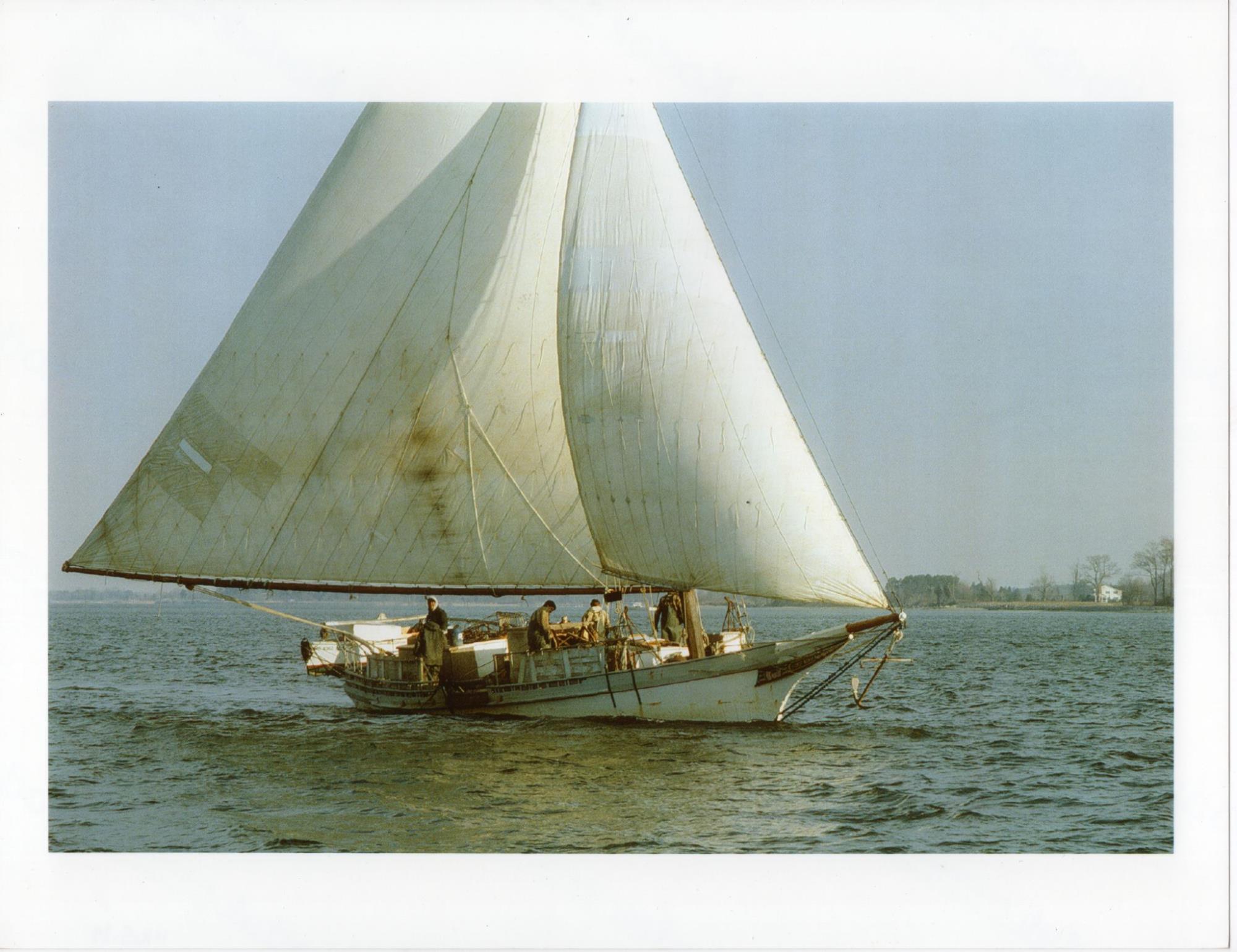 CBMM catalog image