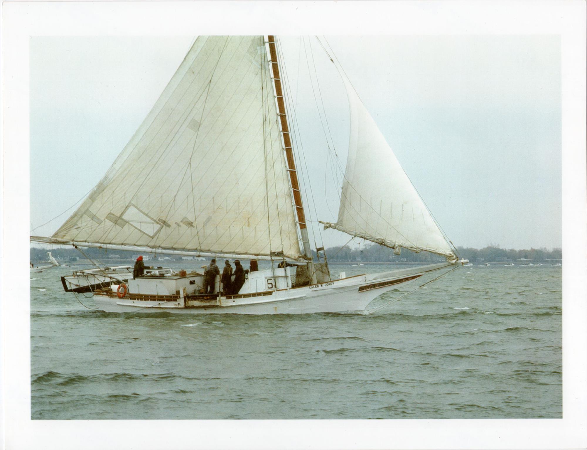 CBMM catalog image