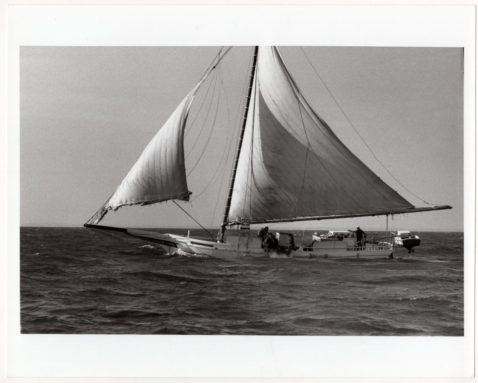 CBMM catalog image