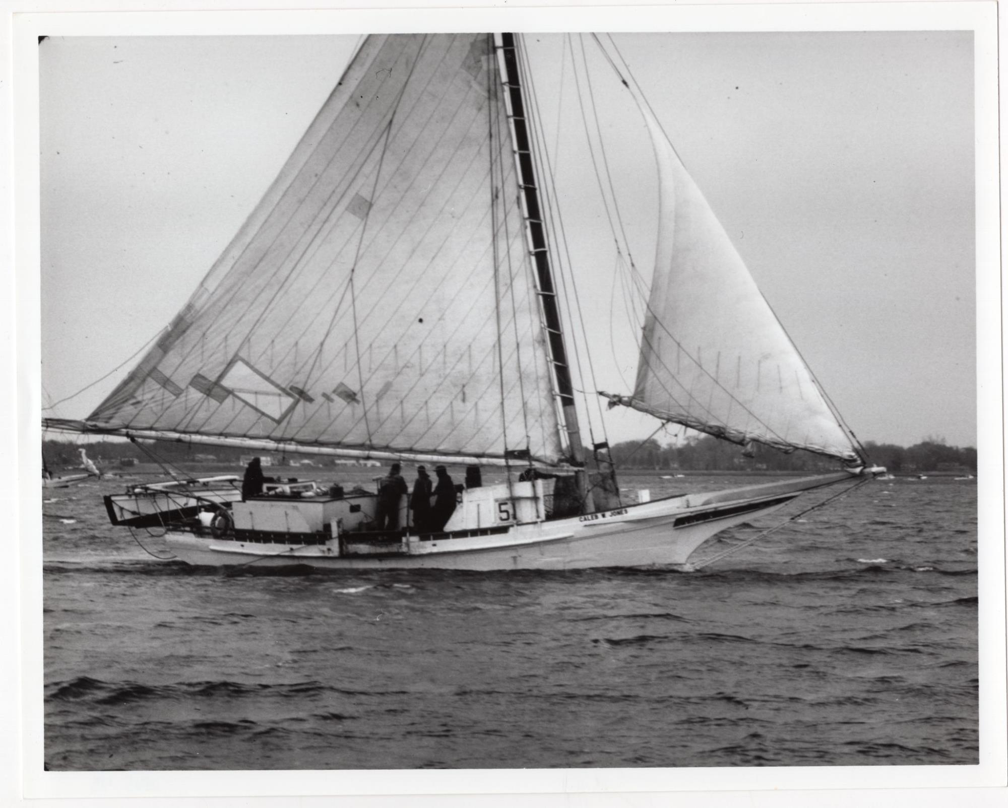 CBMM catalog image