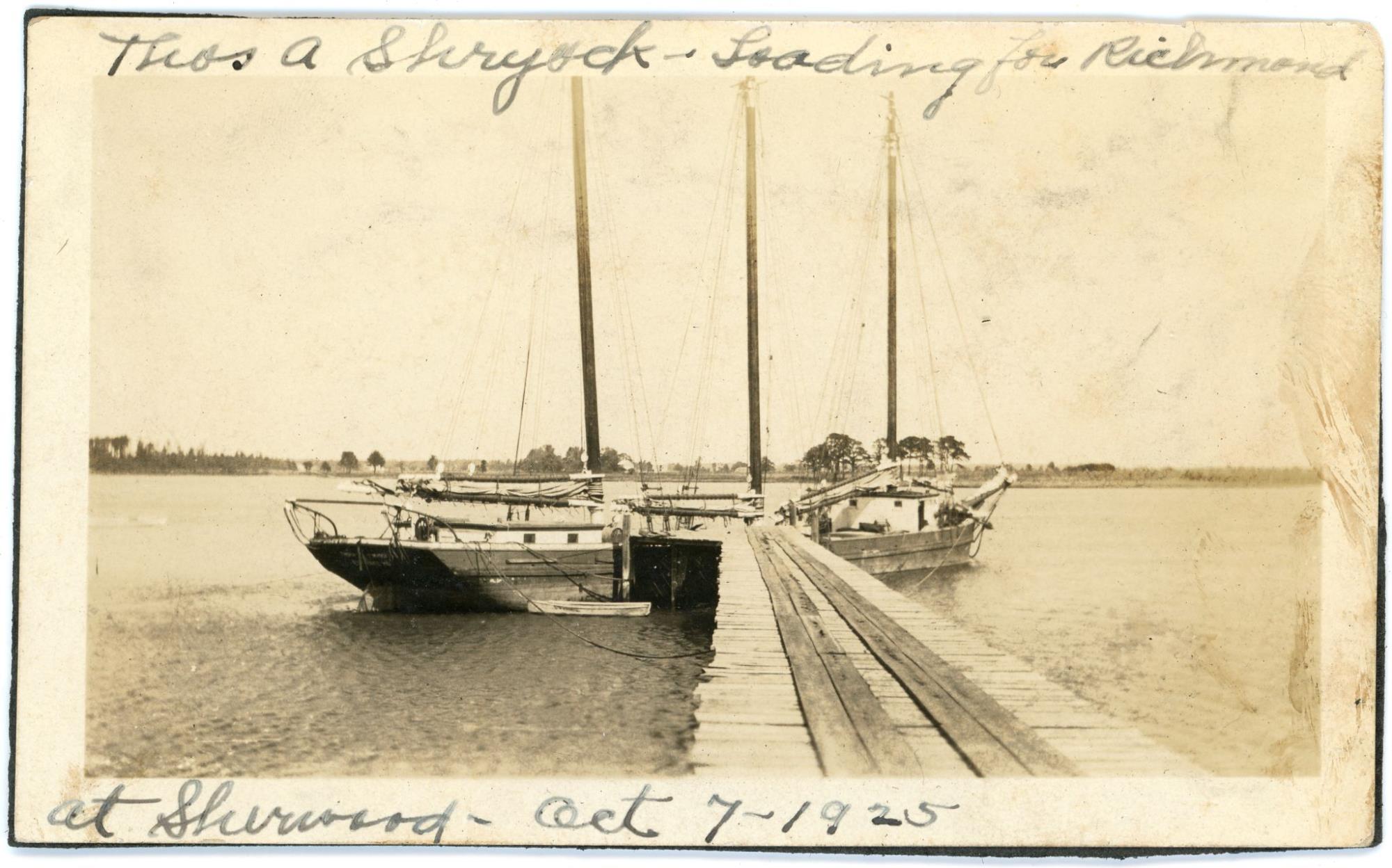 CBMM catalog image