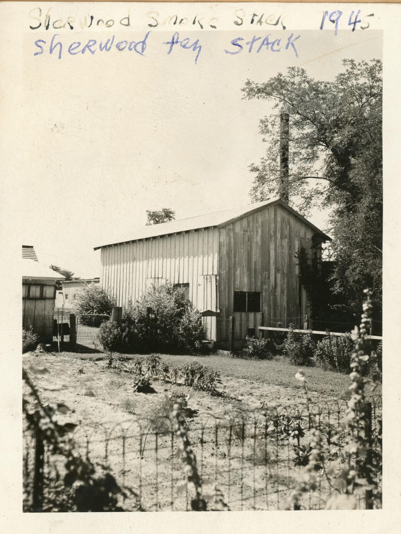 CBMM catalog image