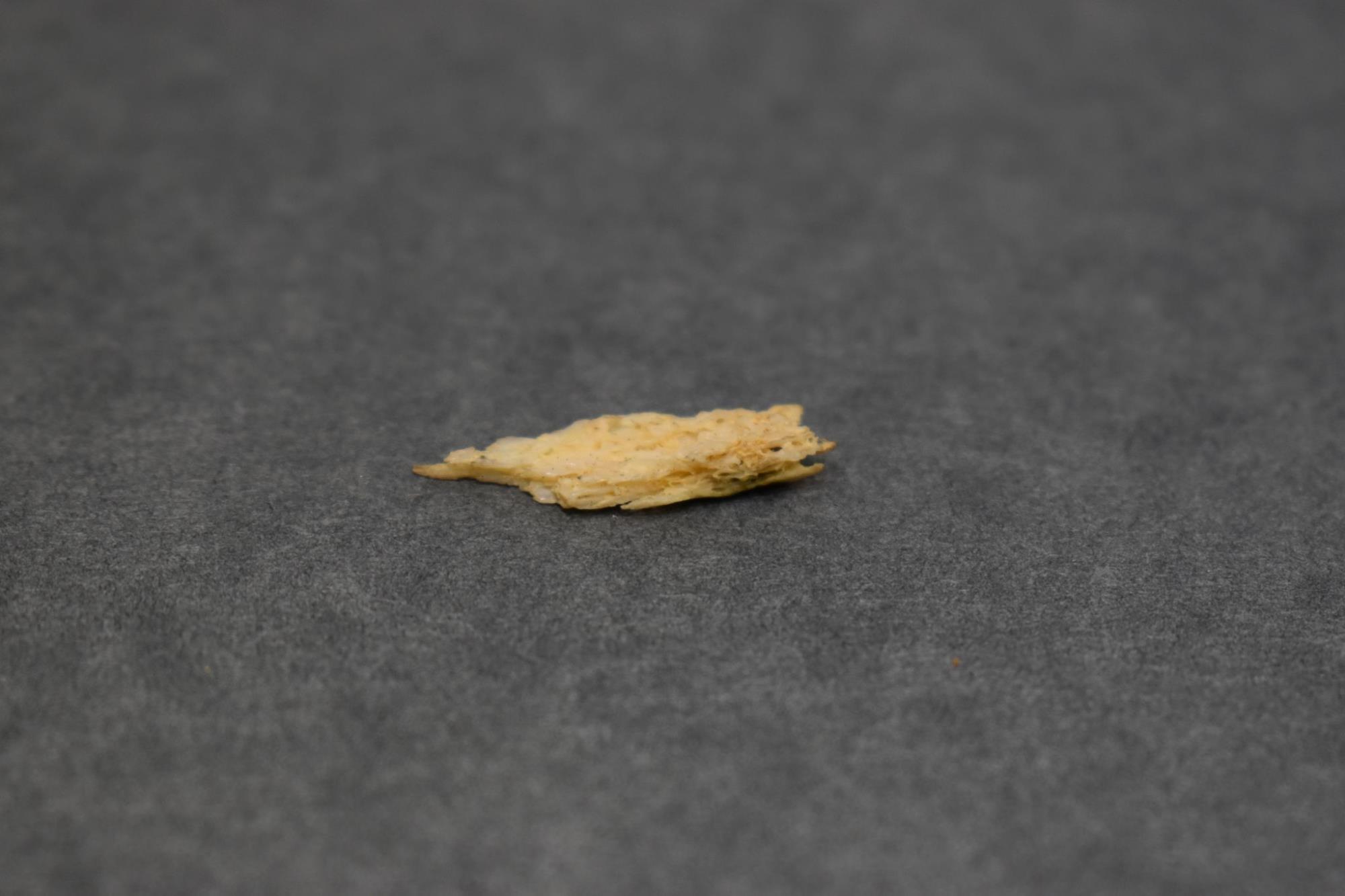 CBMM catalog image