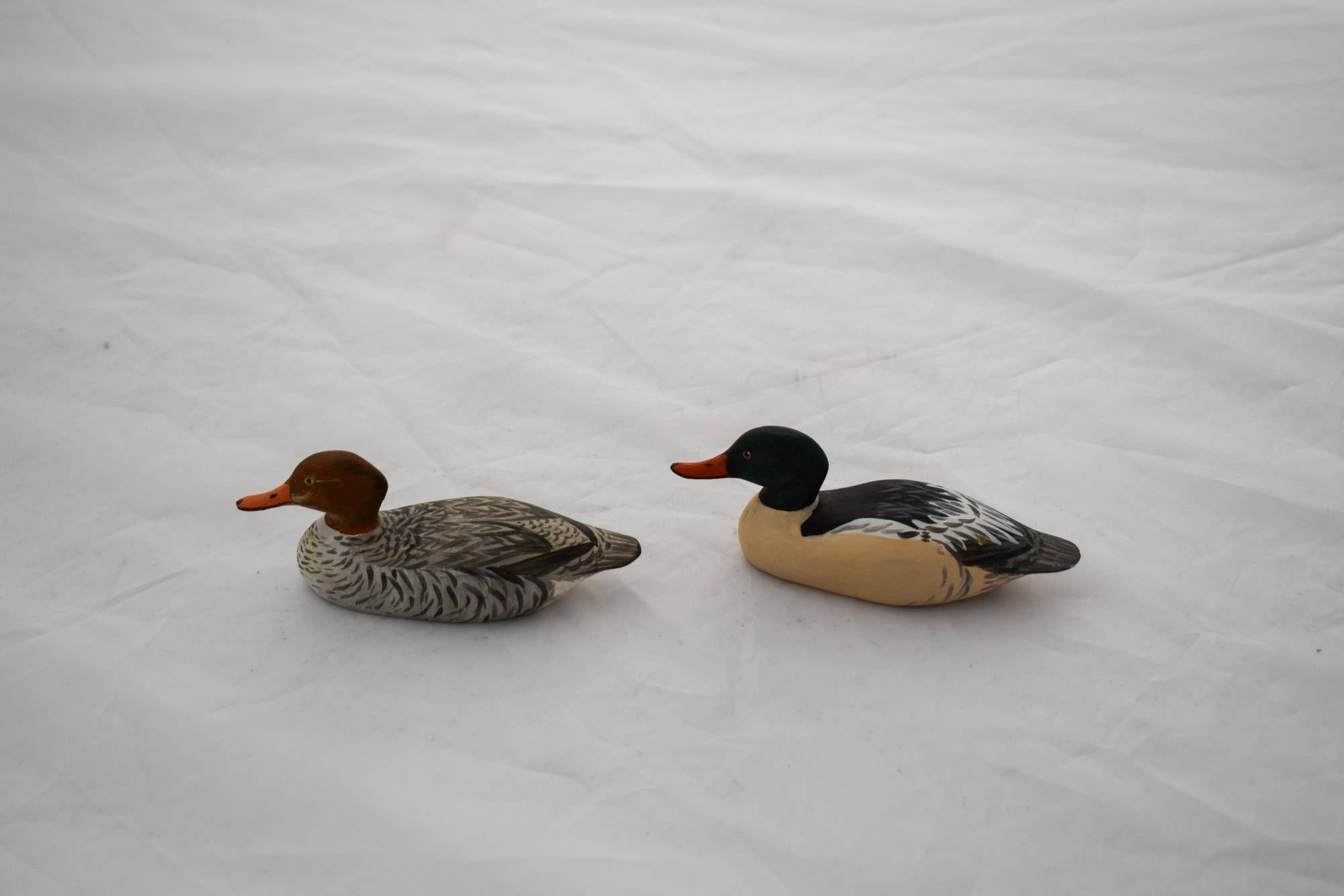 CBMM catalog image