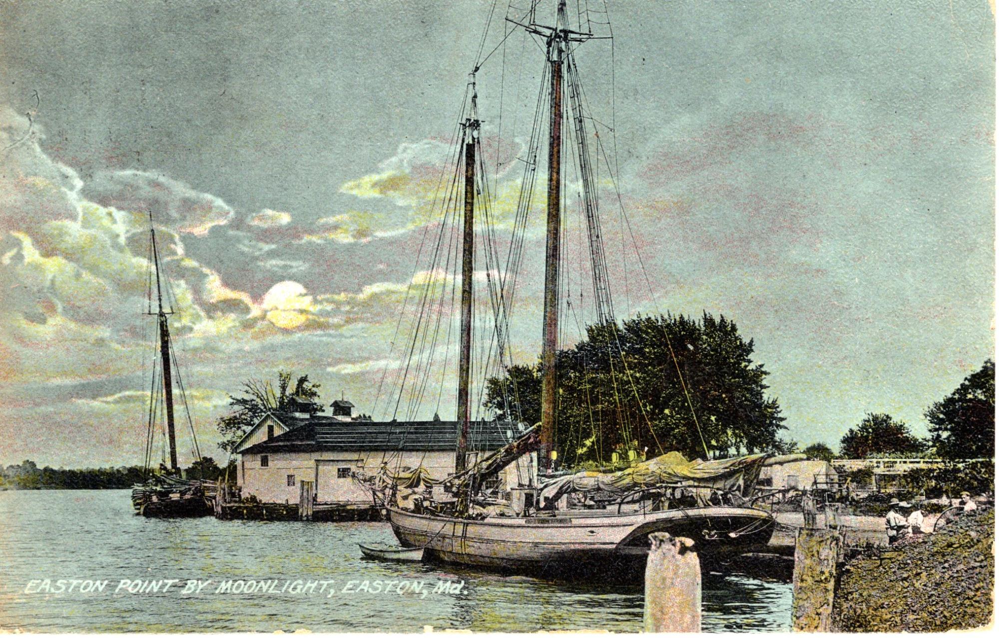 CBMM catalog image
