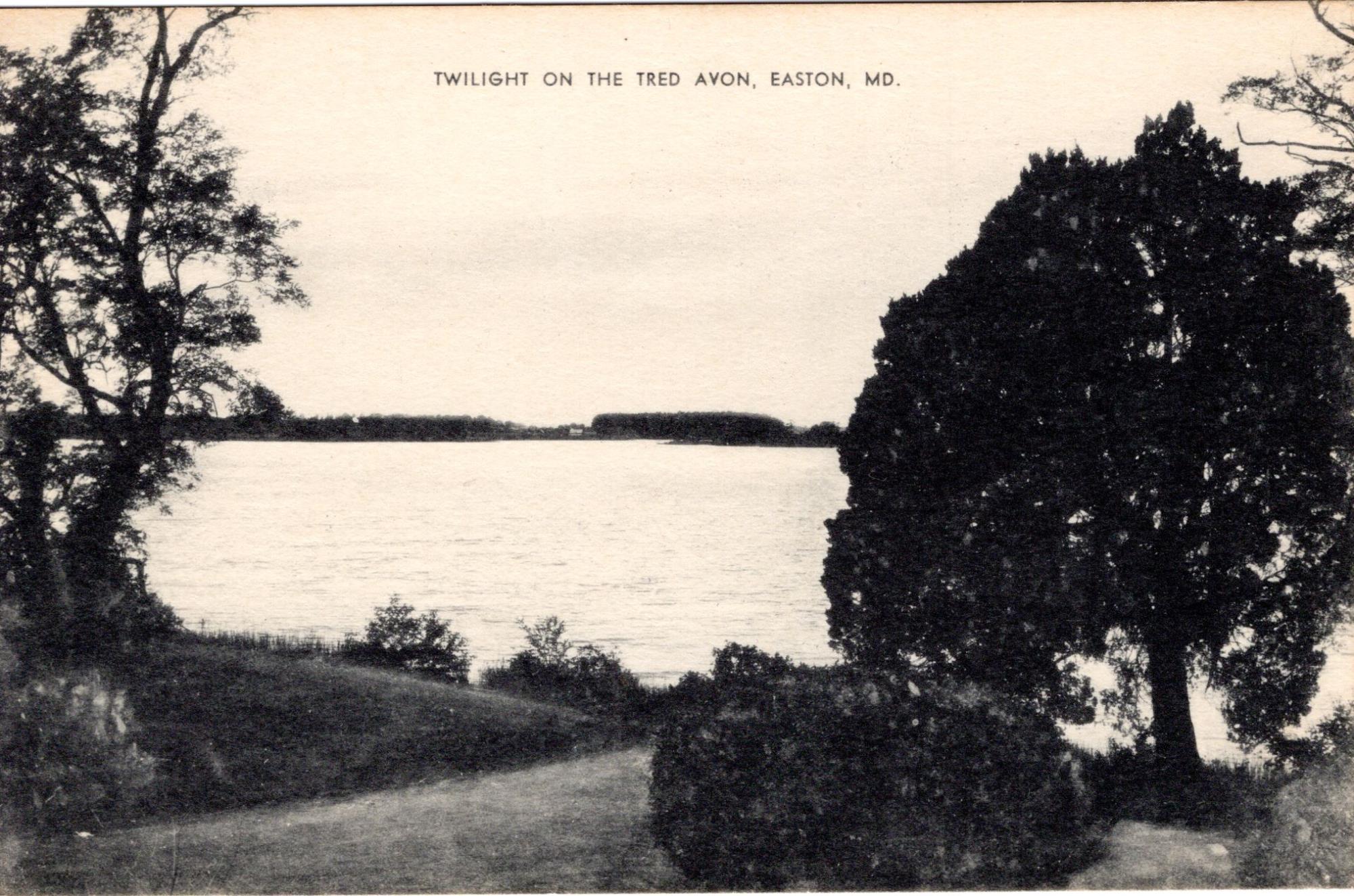 CBMM catalog image